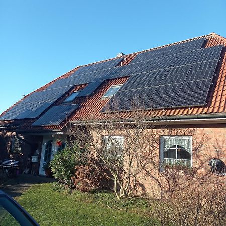 Haus Moewennest Apartment Gelting Bagian luar foto